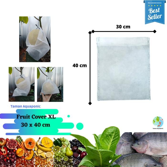 Fruit Cover/Pembungkus Buah XL 25 pcs