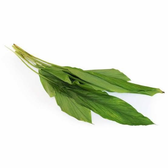 

Terlaris Daun Kunyit Segar