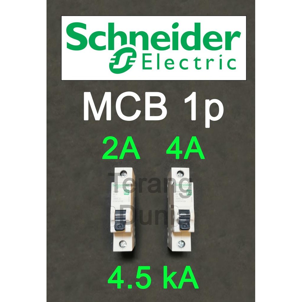 Ready JT MCB Schneider 1p 2a MCB Schneider 1p 4a MCB Schneider 2a MCB Schneider