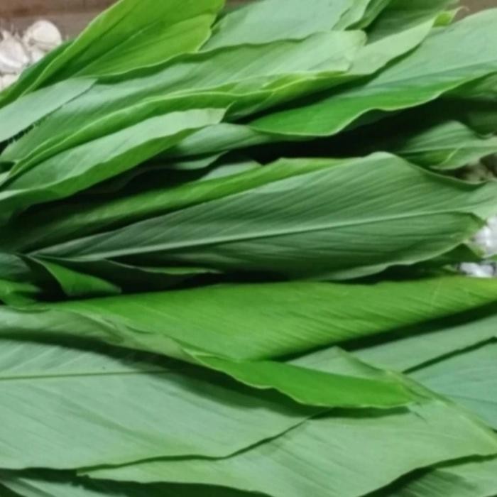 

Terlaris Rempah Daun Kunyit Segar 30 Lembar