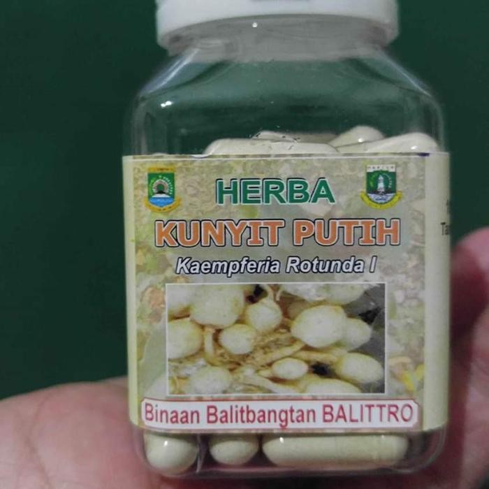 

Terlaris Kunyit Putih