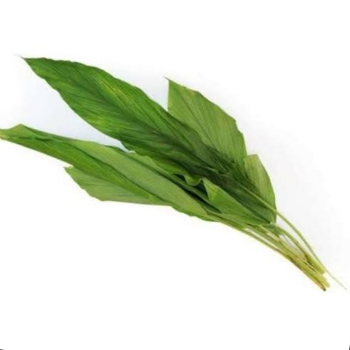 

Terlaris Daun Kunyit