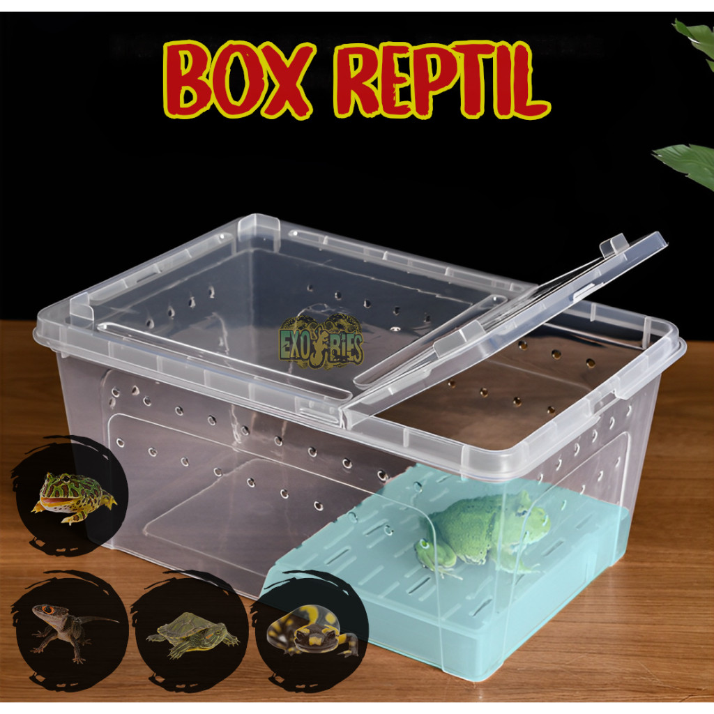 Box Reptil Enclosure Reptile Kandang Reptil Box Pacman Frog Box Salamander Kandang Kura Kura