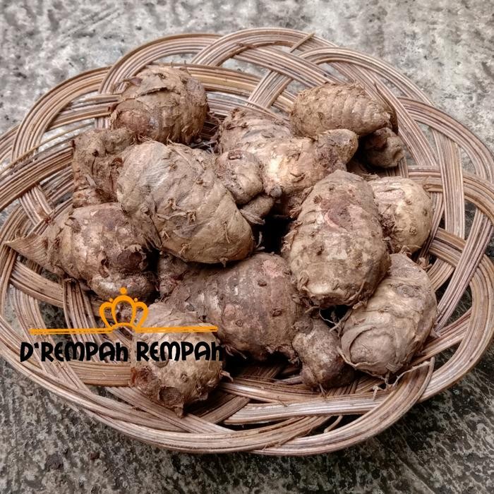 

Terlaris Biang Kunyit 1 Kg