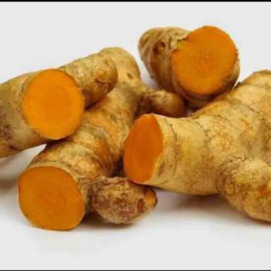 

Terlaris Kunyit Bumbu Dapur Segar Fresh