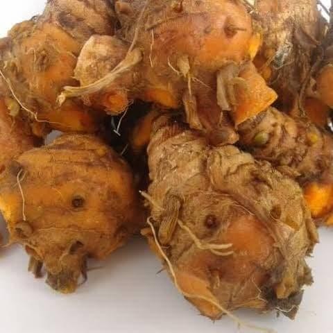 

Terlaris Biang Kunyit