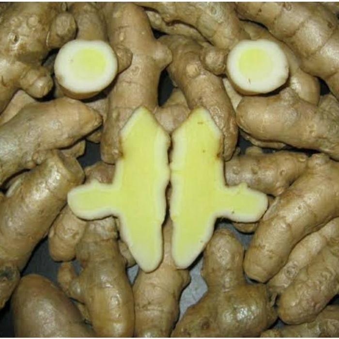 

Terlaris Kunyit Putih/Kg