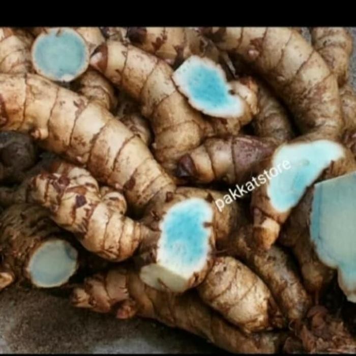 

Terlaris Temu Ireng/Temu Hitam/Kunyit Hitam 1Kg Rempah Herbal