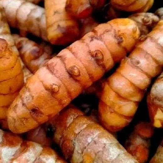 

Terlaris Kunyit Segar Premium 1Kg Murah - Kecombrang Dan Kentang