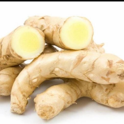 

Terlaris Kunyit Putih 250 Grm