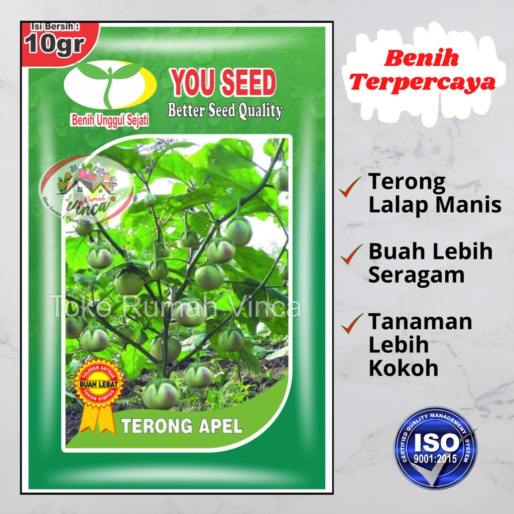 Benih Bibit Terong Lalap TERONG APEL 10g Cap You seed Bibit Terong Manggis