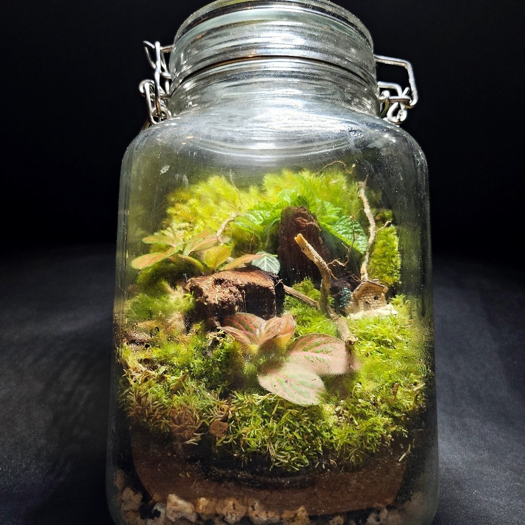 TERRARIUM JAR KIT TERRARIUM TOPLES KIT PRAKTIK TUGAS SEKOLAH