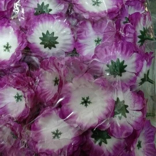 (Allthebest) bunga suyok (100pcs)