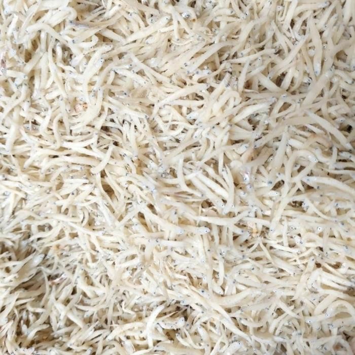 

TERMURAHH!! Ikan Teri Putih 250gr - Ikan Teri Nasi Kualitas Bagus