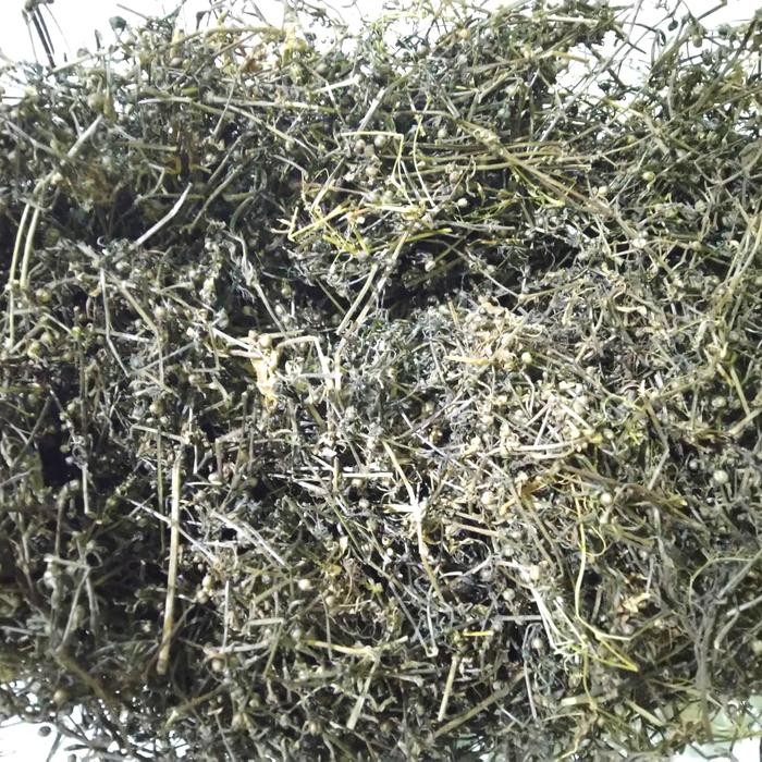 

TERMURAHH!! Rumput Mutiara Kering Asli 500gr