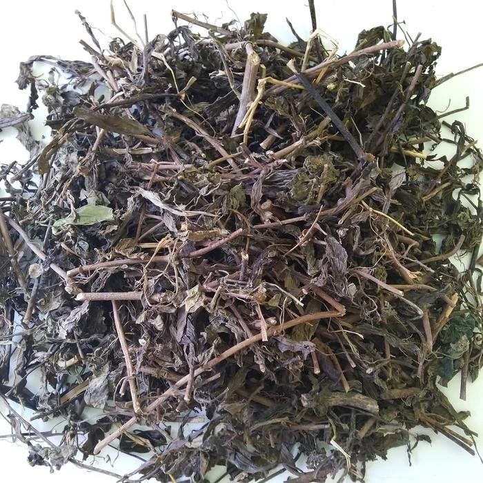 

TERMURAHH!! Herbal Kumis Kucing Kering 1kg Asli Dan Murni