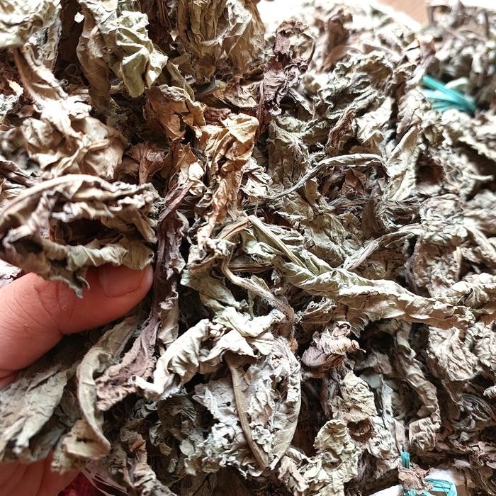 

TERMURAHH!! Daun Tapak Liman Kering 500gr