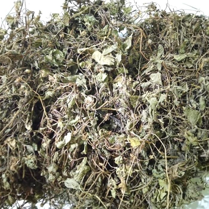 

TERMURAHH!! Daun Pegagan Kering 1kg , Daun Antanan kering , Daun Kaki Kuda Kering