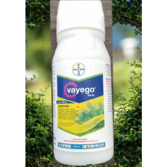 INSEKTISIDA VAYEGO 10 HAMA ULAT I JAGUNG KUBIS