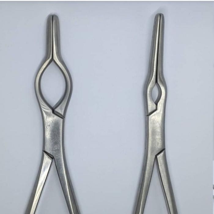 asch/ walsham septum forceps