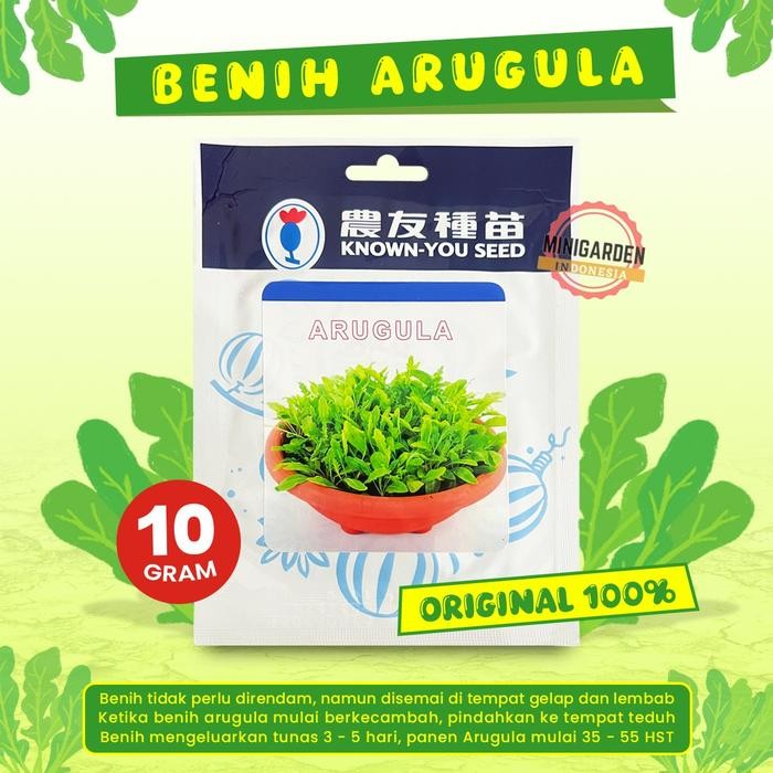 DISKON BENIH ARUGULA 10 GRAM biji bibit taan arugula rocket READY STOCK