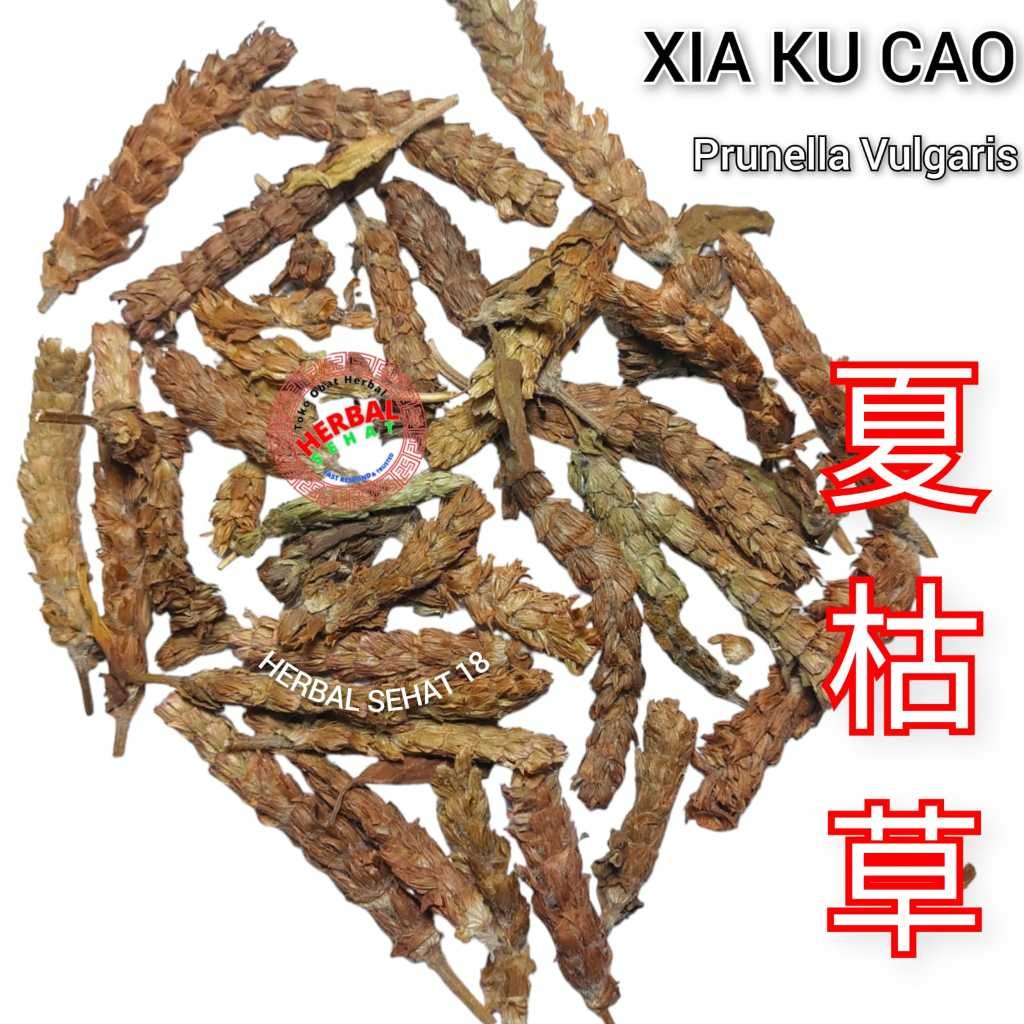 

Xia Ku Cao 100 Gram Xia Gu Cao Teh Prunella Vulgaris - Grade A - HA KU CHO PREMIUM