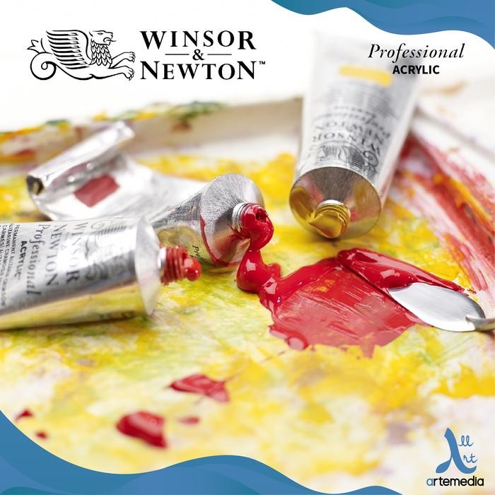 

Artemedia - Cat Akrilik Winsor & Newton Professional Acrylic Paint 60Ml Series 3 1