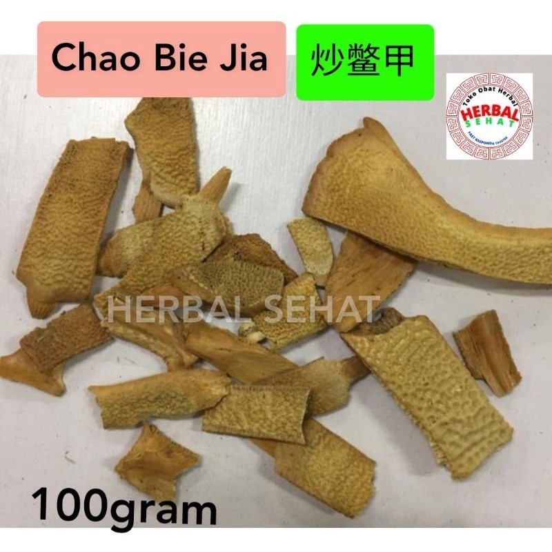 

[100gram] Bie Jia [ ] trionyx sinensis wiegmann PREMIUM