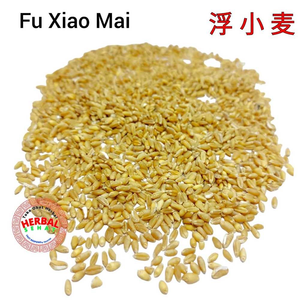 

Fu Xiao Mai 50 Gram Fructus s Tritici Aestivi PREMIUM