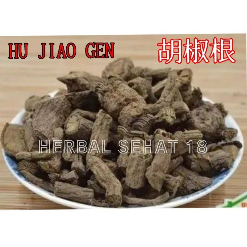 

Hu Jiao Gen 50 Gram Akar Lada hujiaogen Fructus Piperis PREMIUM