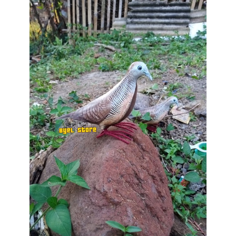 Patung Burung Perkutut Lokal / Perkutut Jawa