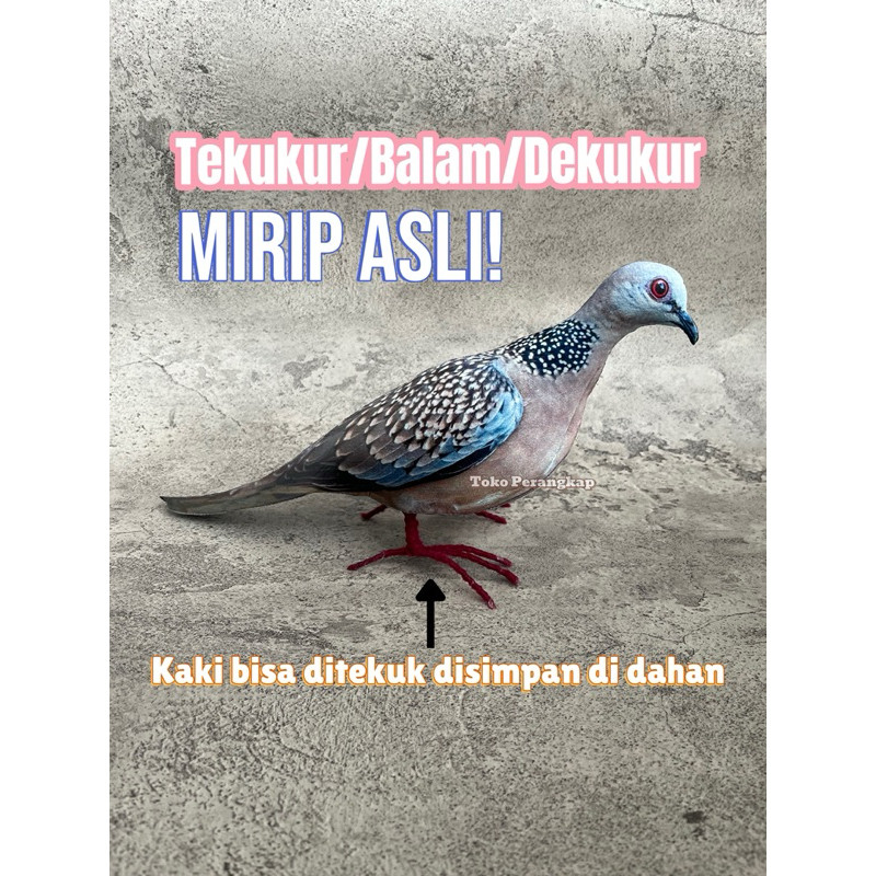 Patung Burung Dekukur Tekukur / Burung Balam