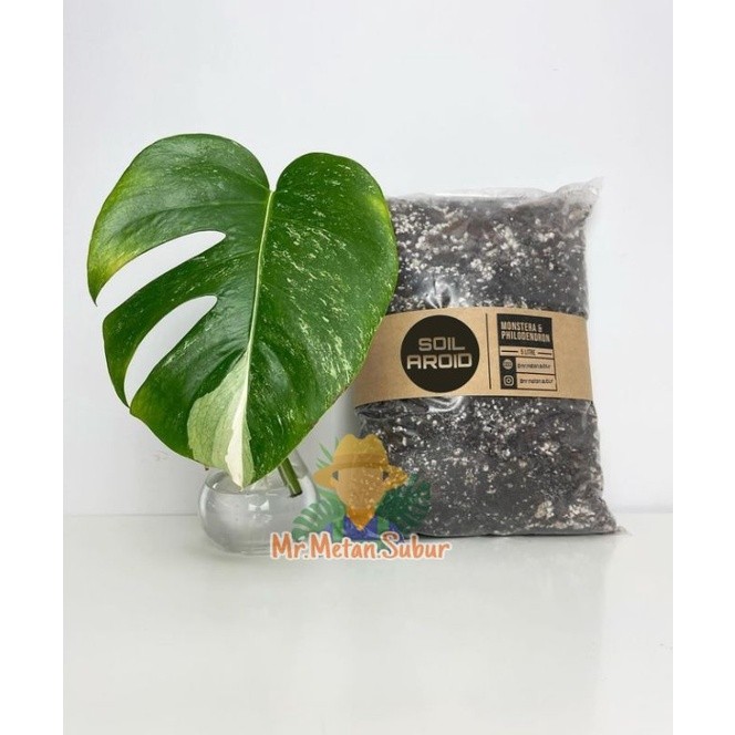 Poros Media Tanam 2 kg SOIL AROID PREMIUM UNTUK SEGALA TANAMAN Aroid Monstera philodendron varigata