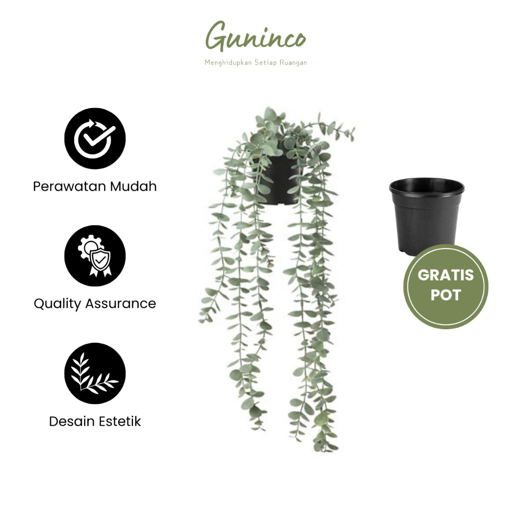 Tanaman Juntai Gantung Eucalyptus, Daun Rambart Palsu, Tanaman Hias Indoor, Pot Bunga Artificial
