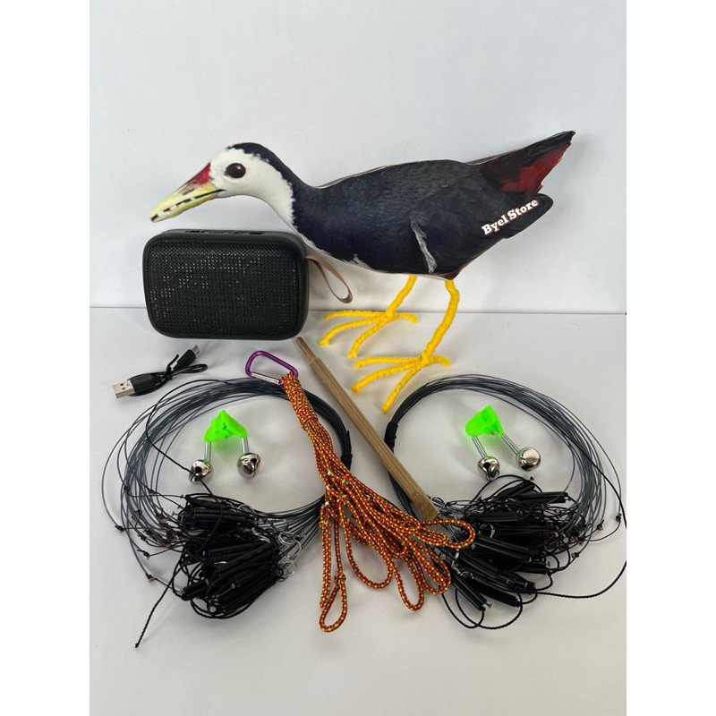 Paket Patung Burung Ruak Ruak Kareo Padi+Jerat Gantung+MP3