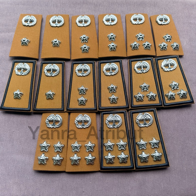 Pangkat Pns Lampung / Pangkat Asn Lampung Golongan 3a 3b 3c 3d Premium Luxury