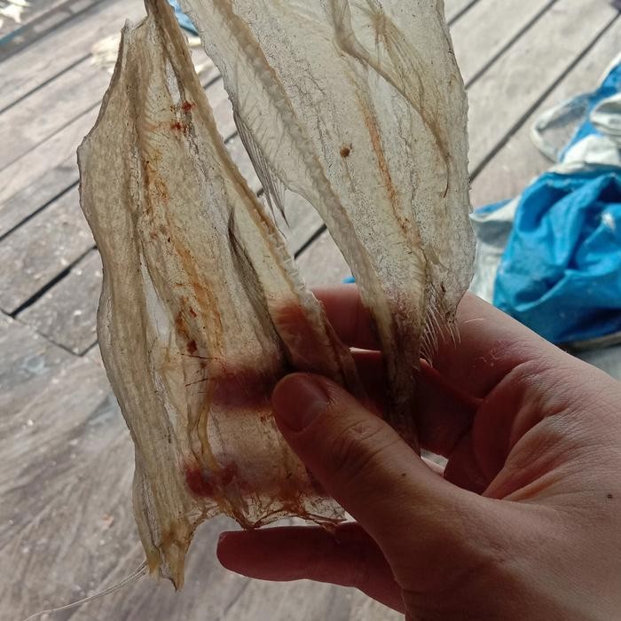 

Ikan Asin Tipis Tarakan 1Kg Termurah Best Seller