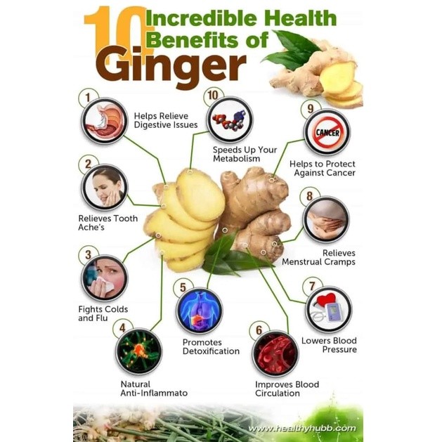 

WHYN!! ELIF TEA AND TISANE Lemongrass Turmeric Ginger Tea JSR Teh Serai Kunyit Jahe 30 Tea Bag