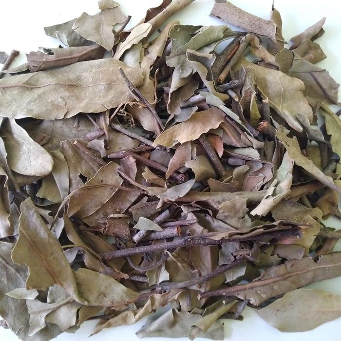 

TERMURAHH!! Benalu Teh Kering Asli 500gr