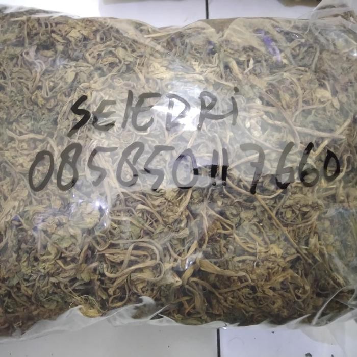 

TERMURAHH!! Seledri Kering 500gr / Daun Seledri Kering