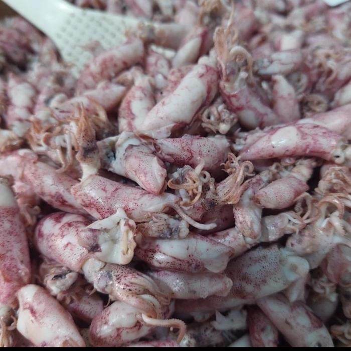 

SALE !!! 1KG BABY CUMI ASIN JARUM TOP/BABY CUMI KUALITAS TERBAIK 100% EMPUK 1KG READYY