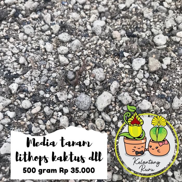 Media tanam Lithops, kaktus, succulent grade A 500 gram Kode 861