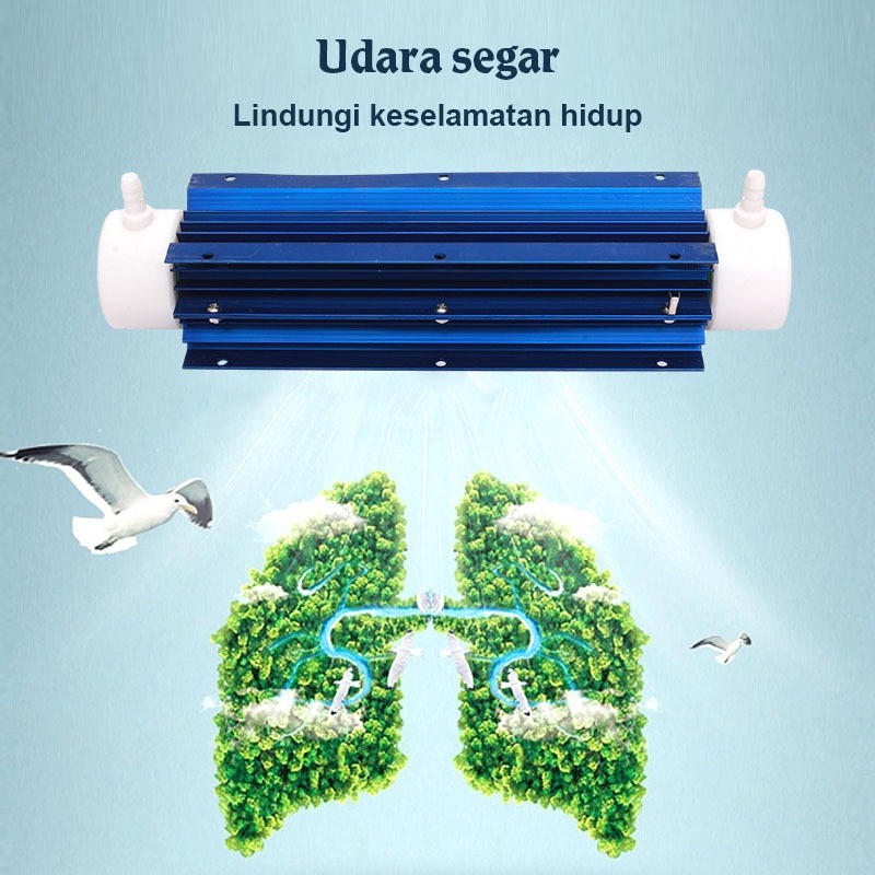 220V 10G Ozone Generator Tube Water Tabung Air Purifier Water Adjustable Purifier tabung ozon Water