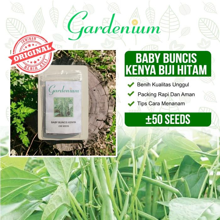 Ready Stock Gardenium Benih Baby Buncis Kenya Buncis Biji Hitam Perdu Non Rambat