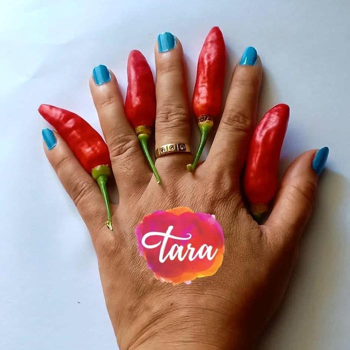 Ready Stock Benih Bibit Cabe Rawit Setan Jumbo Bangkok/ Organic Thai Chili Pepper