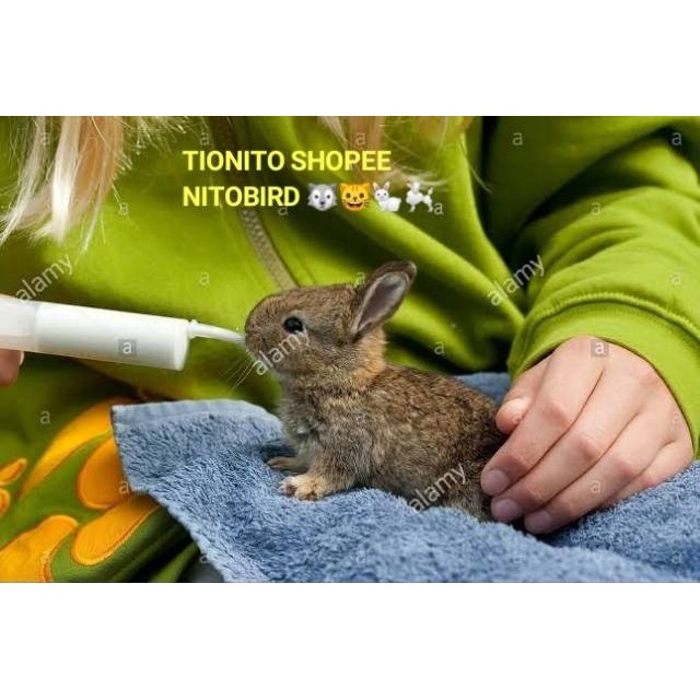 Spet loloh lovebird 0 - 7 hari spetan lolohan burung cindil 20 ml cc