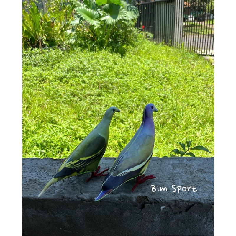 Patung Burung Punai Hijau Jantan dan Punai Gading Betina Sepasang