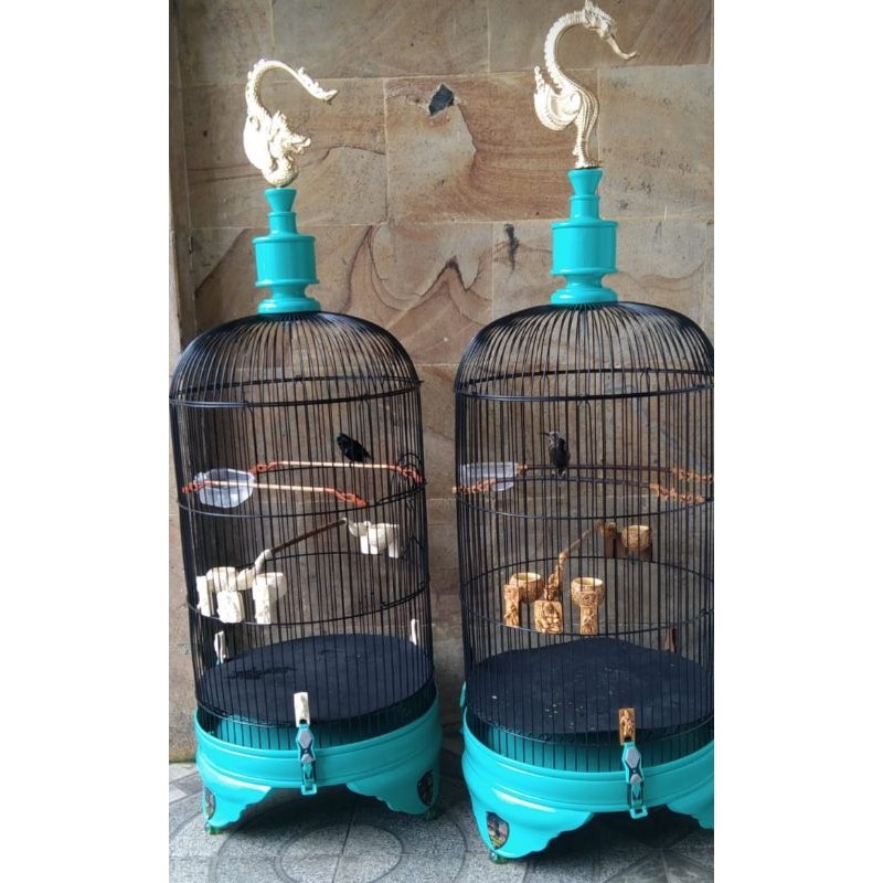 Cepuk Cangkir Mangkok Pakan Burung Konin/Pleci Motif Naga