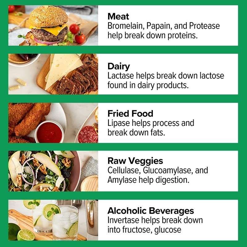 Enzim Pencernaan Ditambah Pretik - Meningkatkan Pencernaan dan Penyerapan, Kesehatan Usus