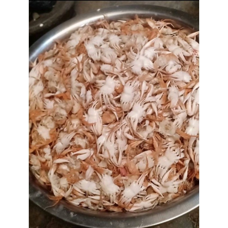 

Baby crab kurang lebih 1 kg